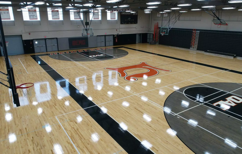 Heidelberg University